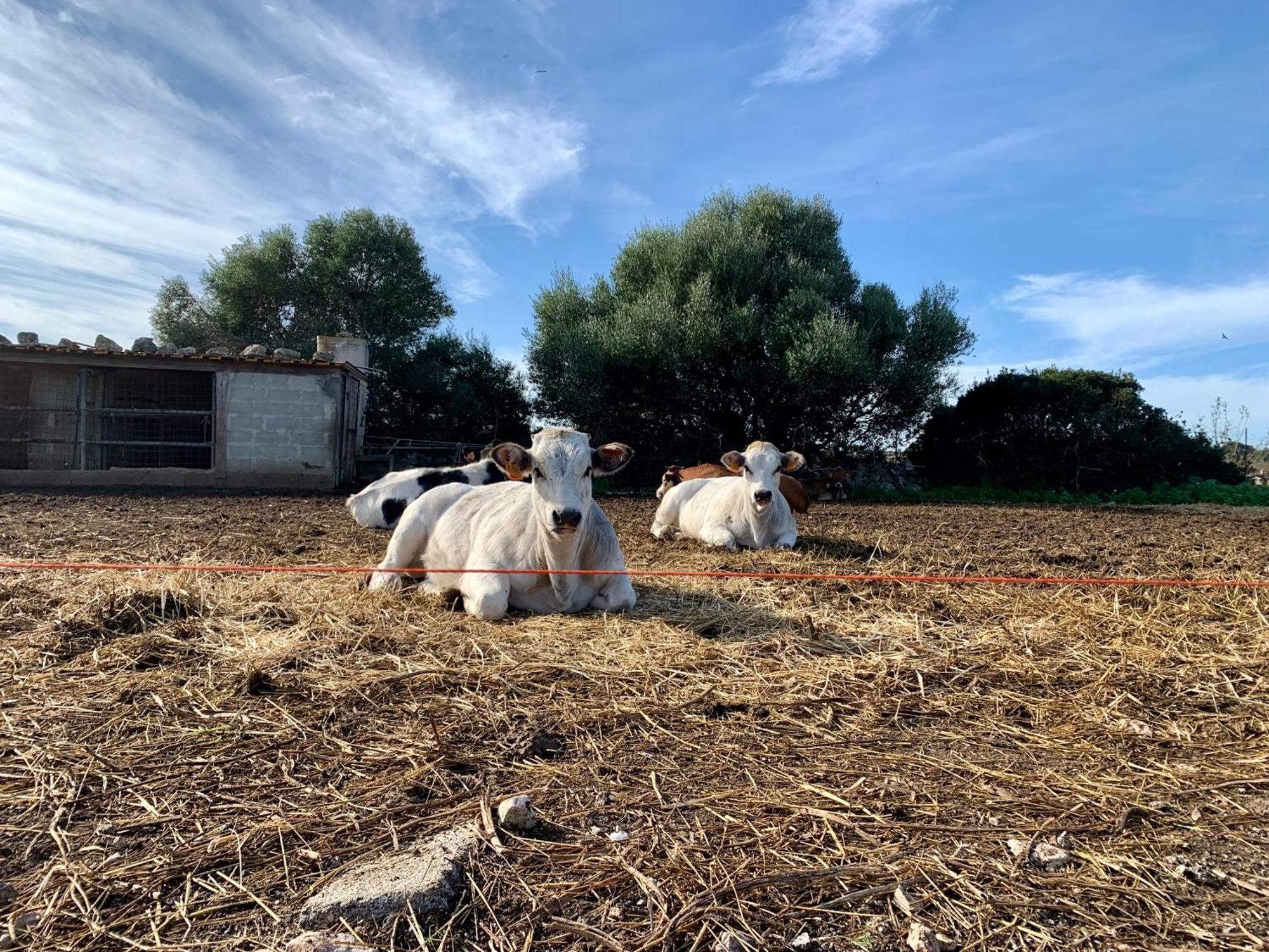 Cozzo Spadaro B&B Portopalo Di Capo Passero Dış mekan fotoğraf