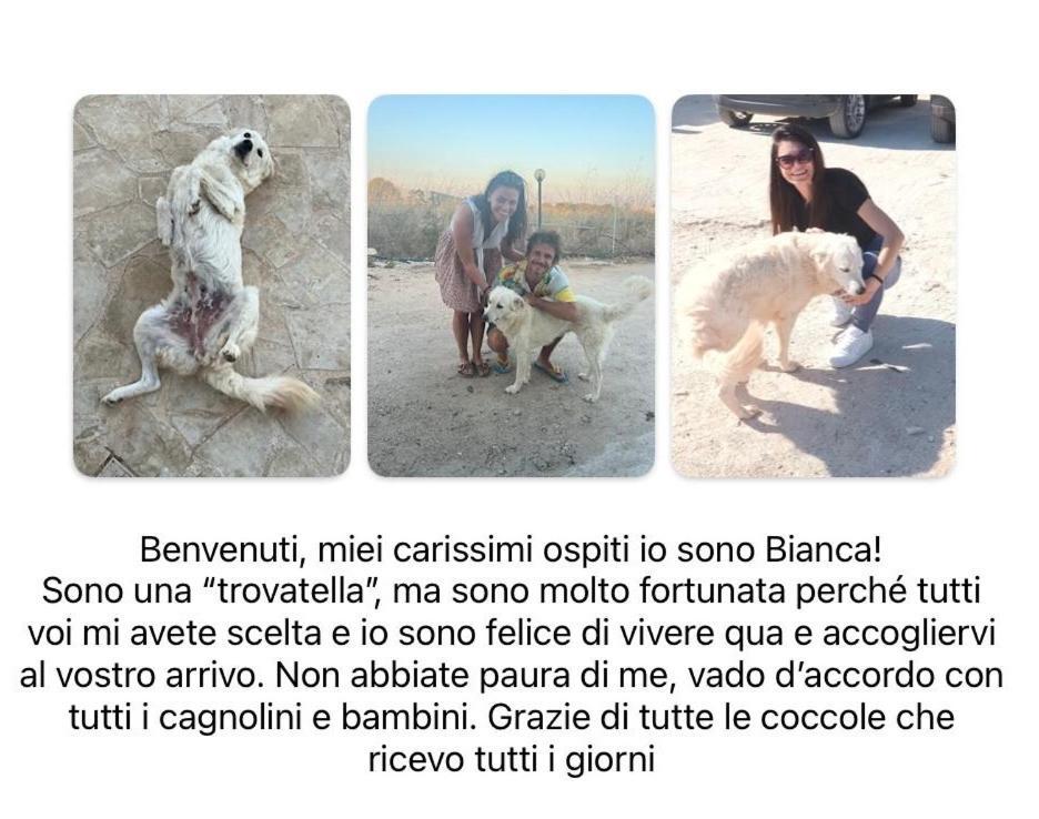 Cozzo Spadaro B&B Portopalo Di Capo Passero Dış mekan fotoğraf